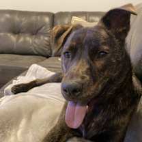 Thumbnail photo of Ace #2