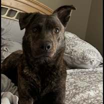 Thumbnail photo of Ace #3