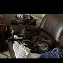 Thumbnail photo of Ace #4