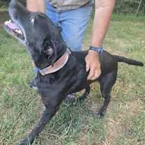 Thumbnail photo of Marshall #3