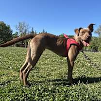 Thumbnail photo of Spot #1