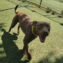 Thumbnail photo of Spot #2