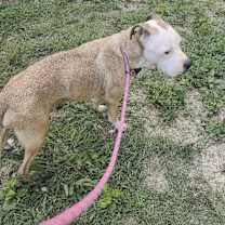 Thumbnail photo of Zeus #2