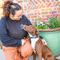 Thumbnail photo of Pickles #3