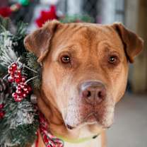 Thumbnail photo of Eeyore #1