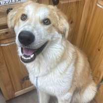 Thumbnail photo of Ragnar #3