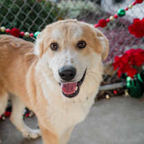 Thumbnail photo of Ragnar #4