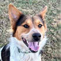 Thumbnail photo of Jasper #1