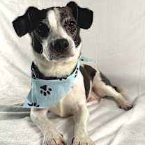 Thumbnail photo of Forrest #1