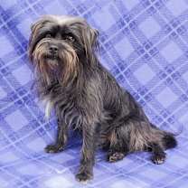 Thumbnail photo of DON #3