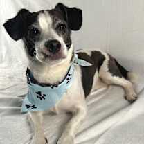 Thumbnail photo of Forrest #2