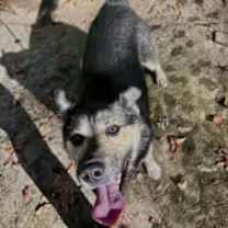 Thumbnail photo of Hudson #4