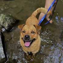 Thumbnail photo of Serena #3