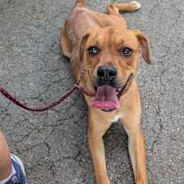 Thumbnail photo of Stella #2