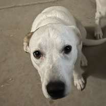 Thumbnail photo of Sunny #4