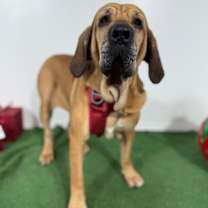 Thumbnail photo of Shelssy #2