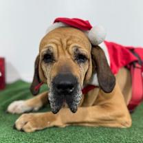 Thumbnail photo of Shelssy #3