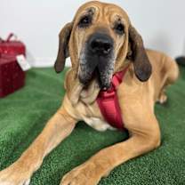 Thumbnail photo of Shelssy #4