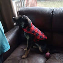 Thumbnail photo of Stella #1