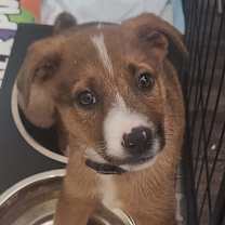 Thumbnail photo of Zahra JW #1