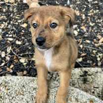 Thumbnail photo of Yumi LD #1