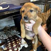 Thumbnail photo of Yumi LD #3