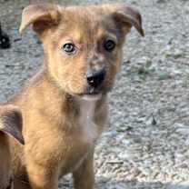 Thumbnail photo of Yumi LD #4