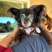 Thumbnail photo of Spud Sprouse #1