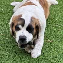 Thumbnail photo of Mae #1