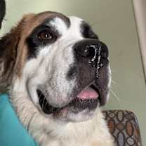 Thumbnail photo of Mae #2