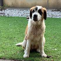 Thumbnail photo of Mae #3