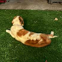 Thumbnail photo of Mae #4