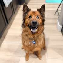 Thumbnail photo of Shylee #2