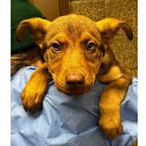 Thumbnail photo of Atlantis #1