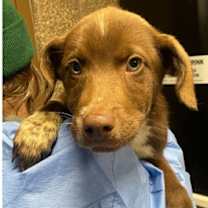 Thumbnail photo of Treasure Planet #1