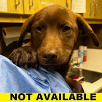 Thumbnail photo of Anastasia #1