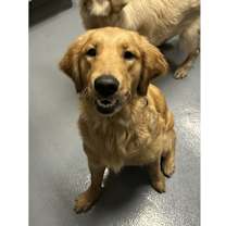 Thumbnail photo of Ducky #1