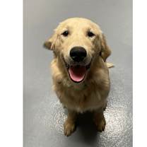 Thumbnail photo of Spike #1