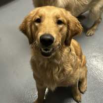 Thumbnail photo of Ducky #2