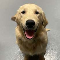 Thumbnail photo of Spike #2