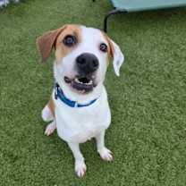 Thumbnail photo of Lainey #1