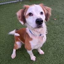 Thumbnail photo of Gunner #2