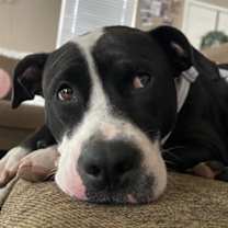 Thumbnail photo of Flower #1