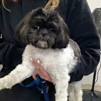 Thumbnail photo of 59979704 #1