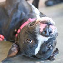 Thumbnail photo of MEGAN #1