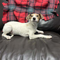 Thumbnail photo of Holly #1