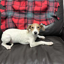 Thumbnail photo of Holly #2