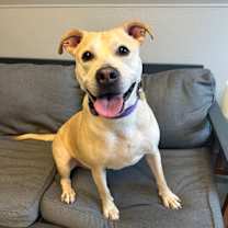 Thumbnail photo of Bonnie #1