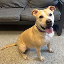 Thumbnail photo of Bonnie #2