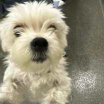 Thumbnail photo of Sasha #2